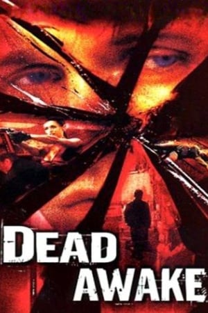 Dead Awake 2001 Hindi Dual Audio 480p WebRip 300MB